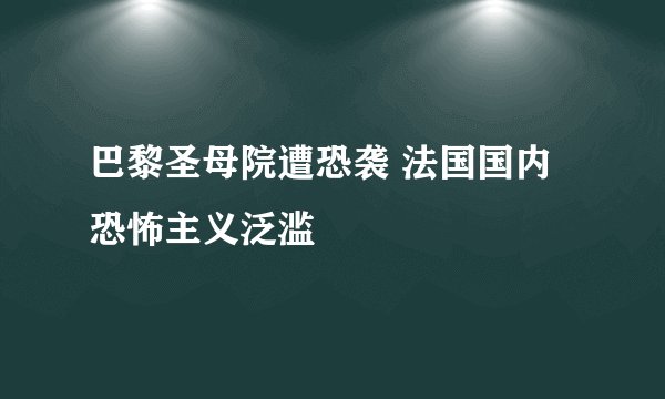 巴黎圣母院遭恐袭 法国国内恐怖主义泛滥