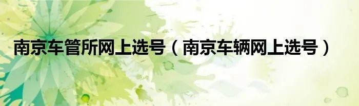 南京车管所网上选号（南京车辆网上选号）