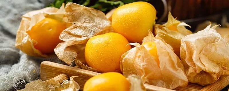 东北姑娘水果是什么水果 东北姑娘水果是什么