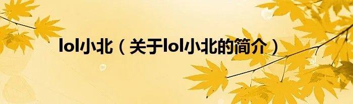 lol小北（关于lol小北的简介）