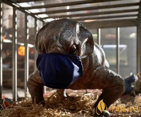 侏罗纪世界3因疫情暂停拍摄 公映推迟至2022年