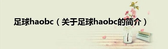 足球haobc（关于足球haobc的简介）