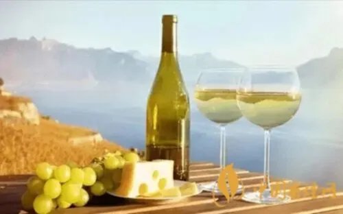 越千年赤霞珠干红葡萄酒价格多少 越千年干红葡萄酒价格表