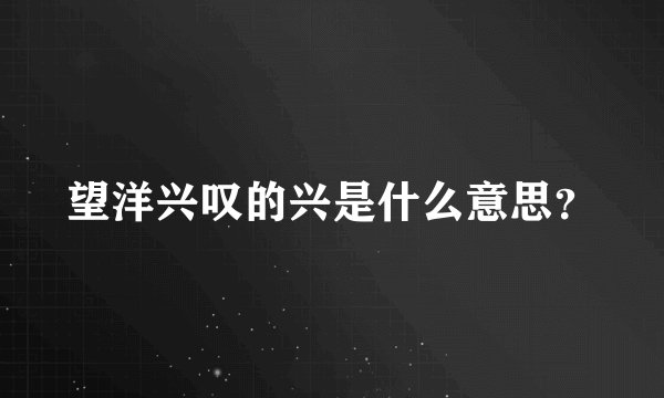 望洋兴叹的兴是什么意思？