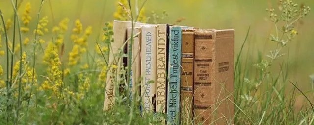 五云老祖的来历 这个是原本济公传里的