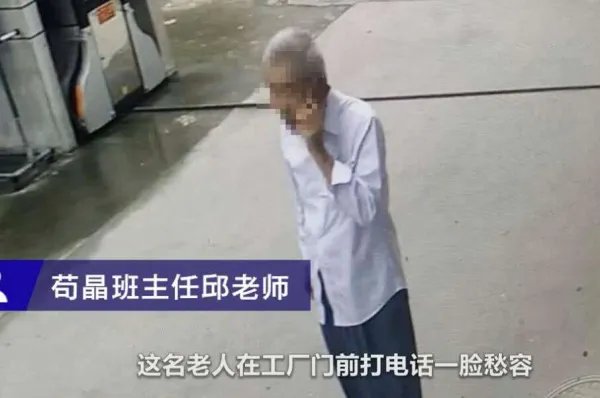 苟晶被冒名入学事件新进展