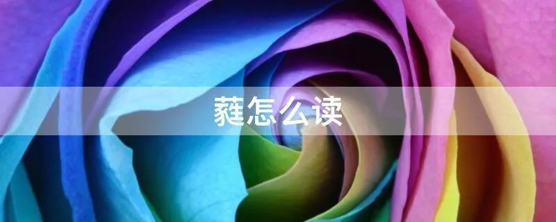 蕤怎么读