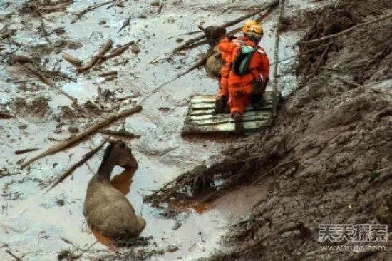 悬崖底有异样:男子下去后震惊(组图)