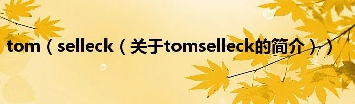 tom（selleck（关于tomselleck的简介））