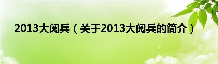 2013大阅兵（关于2013大阅兵的简介）