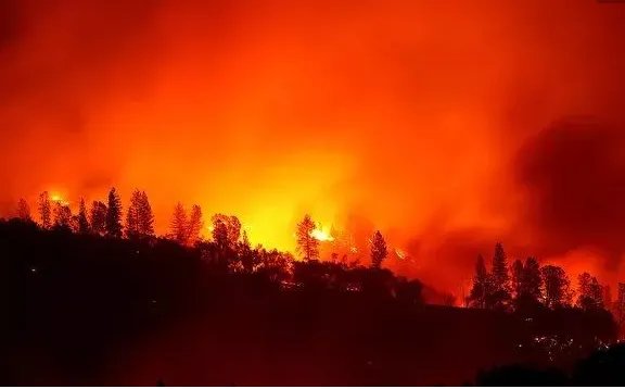 亚马逊雨林烧了3个星期,什么原因导致雨林燃烧?