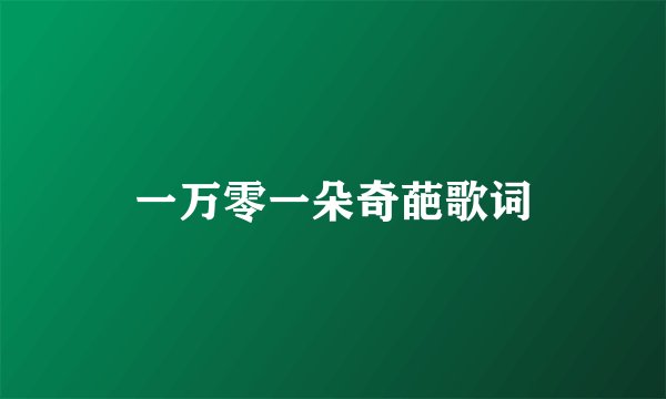 一万零一朵奇葩歌词