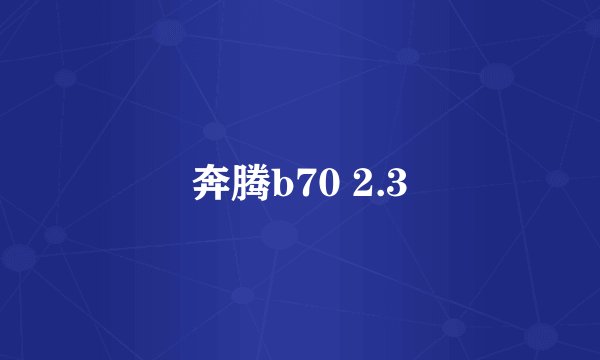 奔腾b70 2.3