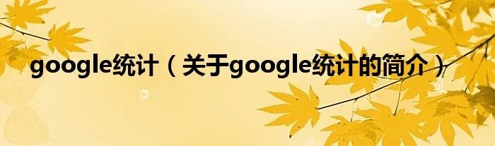 google统计（关于google统计的简介）