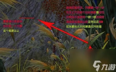荻花宫前山沙利亚怎么开 剑网三英雄荻花宫前山副本攻略