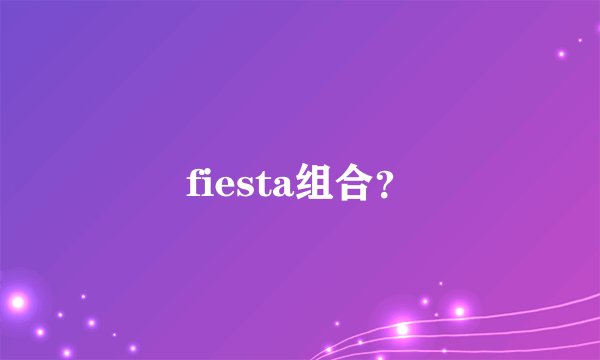 fiesta组合？