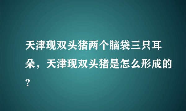 天津现双头猪两个脑袋三只耳朵,天津现双头猪是怎么形成的?