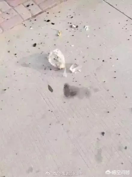 高空扔物砸碎天窗