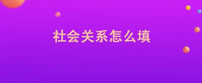 社会关系怎么填