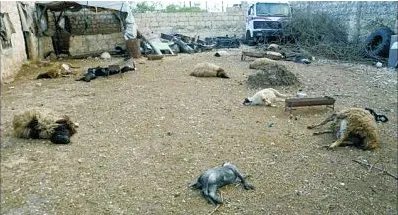 美宣布制裁叙官员是因为什么?