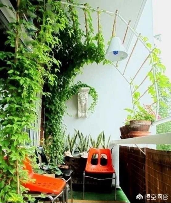 长方形的小阳台怎么打造小花园？