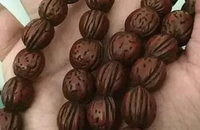 蟠桃核是什么?怎么样的蟠桃核是一流的?