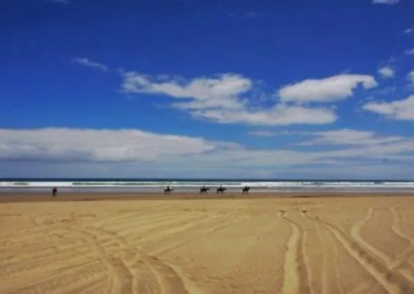 新西兰最炎热夏天是什么样？