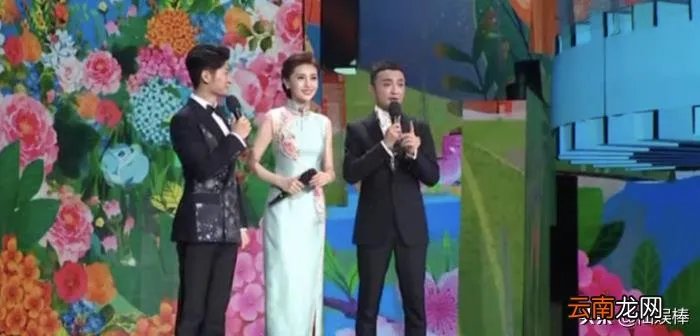 令人惊艳的春晚主持人服装 春晚主持人服装