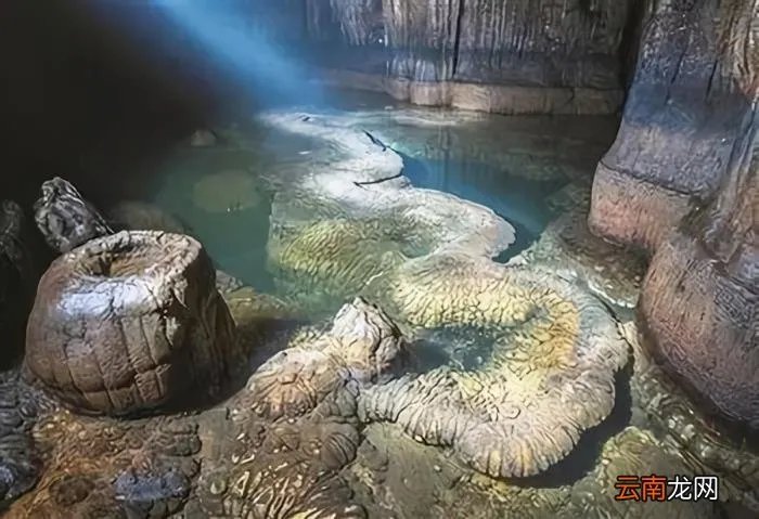 湖南一山洞发现真龙 真龙被首次发现组图