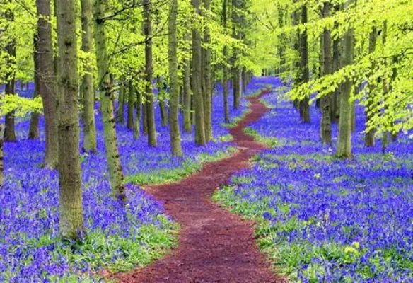 姽婳沉昱小说 姽婳沉昱213567免费阅读