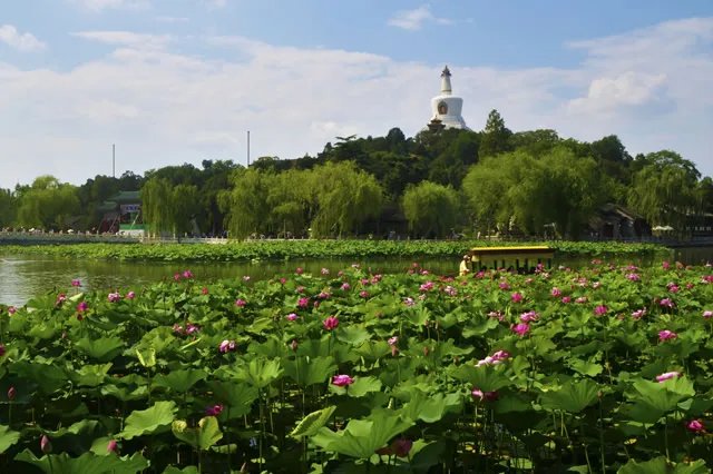北京十大赏花好地方 北京赏花去哪里 帝都看花好去处荐