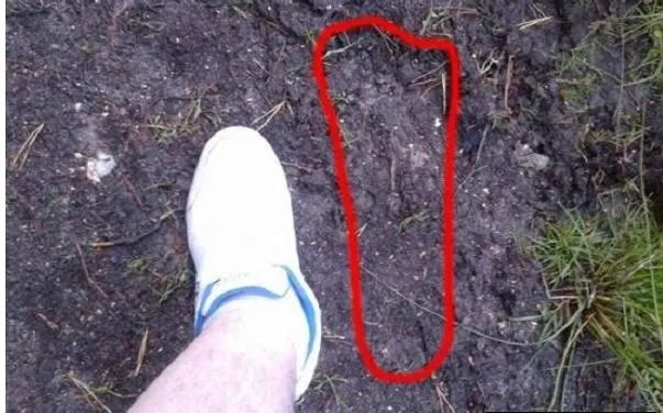 毛骨悚然!男子野外竟拍到这一幕：真实的野人（图）