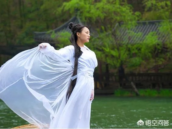 农村山里的石竹子,有什么作用和功效?