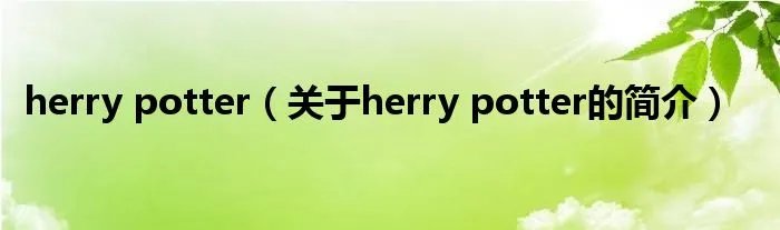 herry potter（关于herry potter的简介）