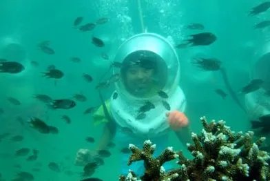 一名中国游客在泰国体验海底漫步溺亡是真的吗?