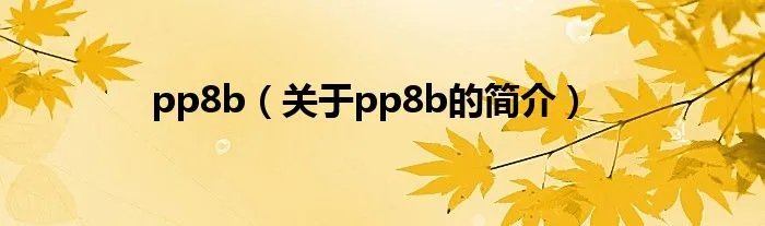 pp8b（关于pp8b的简介）