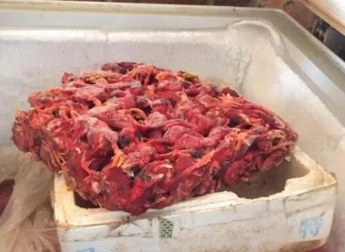 广西查获候鸟窝点 3万多只候鸟得以放飞