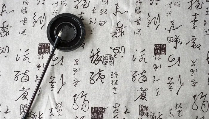 怂是什么意思   怂是指什么意思