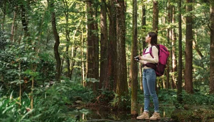 嘀嗒开啦是哪个国家的品牌 嘀嗒开啦是什么品牌