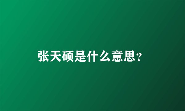 张天硕是什么意思?