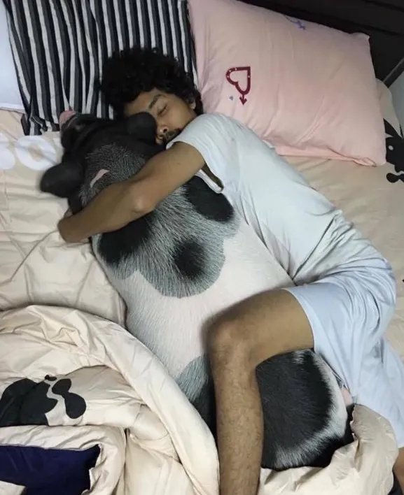 把母猪当女朋友来养是怎么回事?