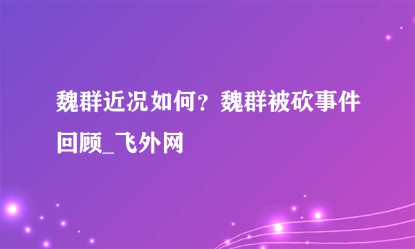 魏群近况如何?魏群被砍事件回顾_飞外网