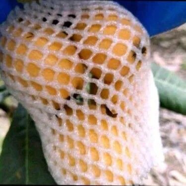 lisa遭死亡威胁,是什么意思?