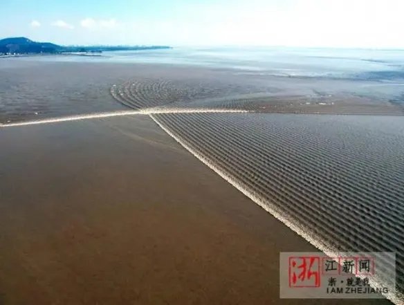 浙江多地停课停运 台风灿都浙江会停课吗