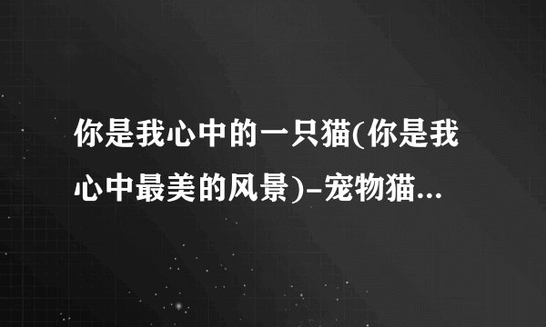 你是我心中的一只猫(你是我心中最美的风景)-宠物猫-飞外网