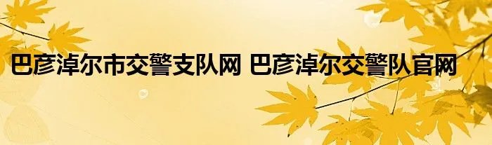 巴彦淖尔市交警支队网 巴彦淖尔交警队官网