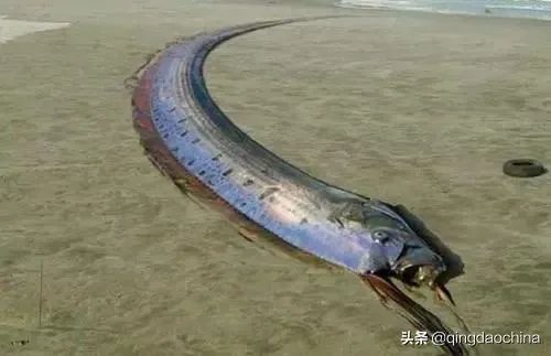 山东济南4.1级地震怎么办，这是什么影响的，后期还会有吗？