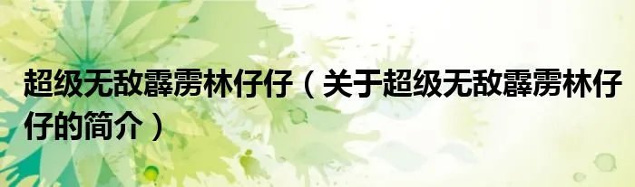 超级无敌霹雳林仔仔（关于超级无敌霹雳林仔仔的简介）