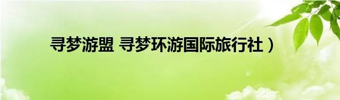 寻梦游盟 寻梦环游国际旅行社)