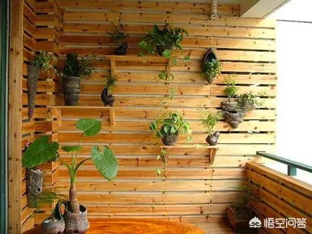 长方形的小阳台怎么打造小花园？